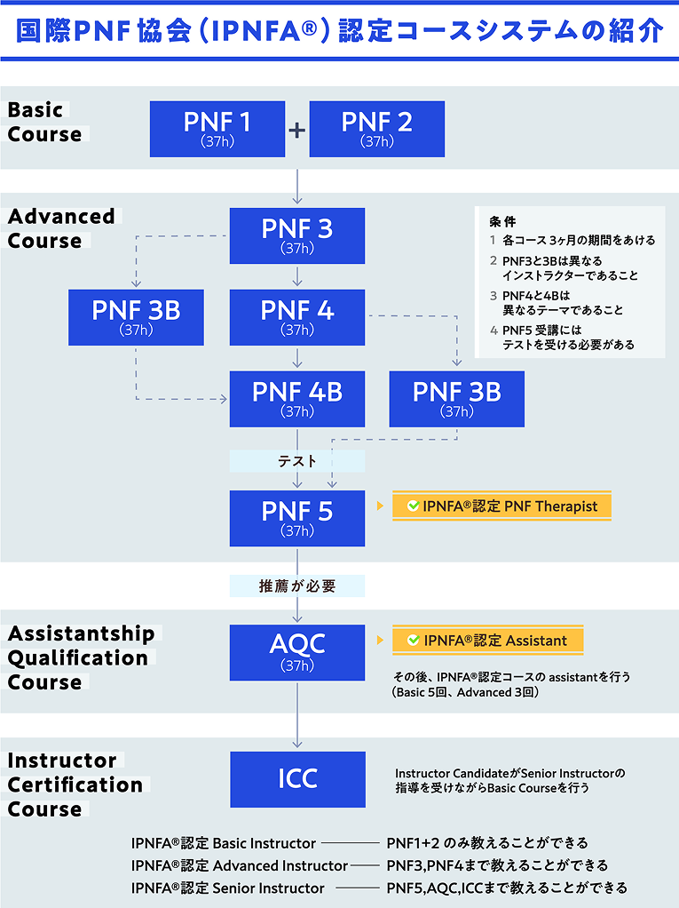 国際PNF協会(IPNFA&reg;)認定コースシステムの紹介