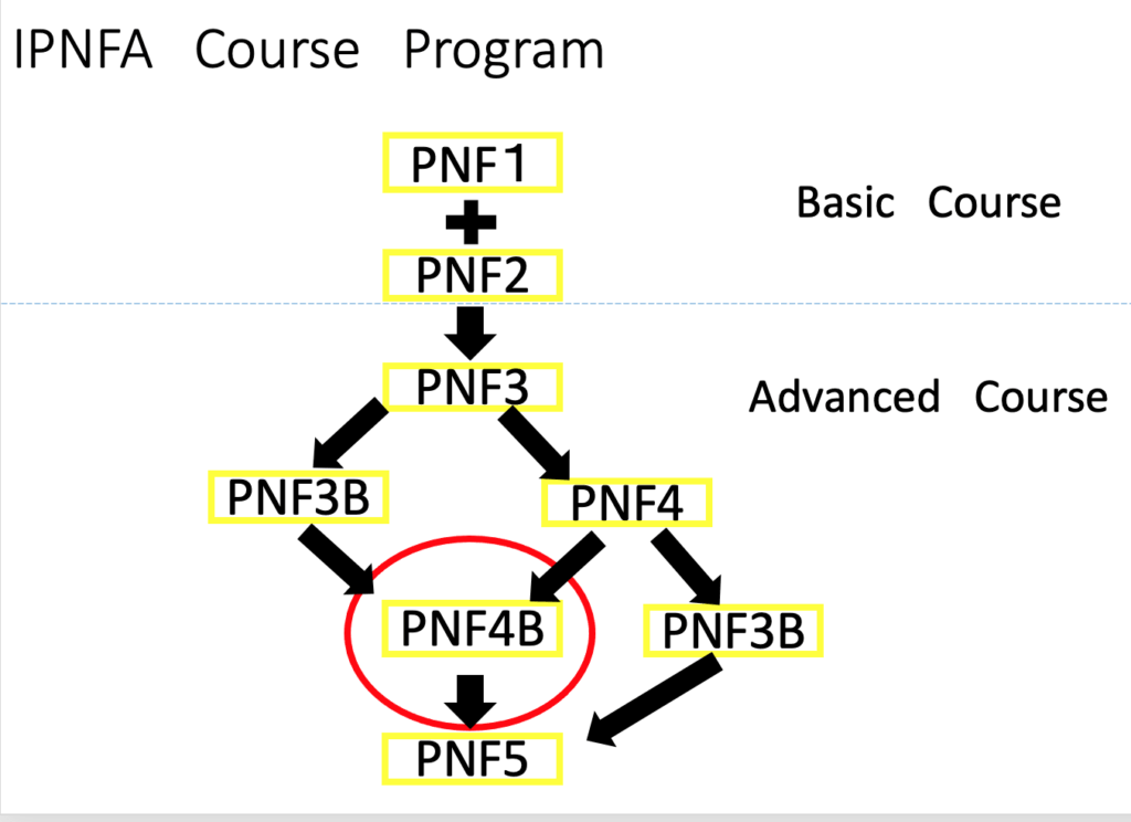 【私が学んでいる徒手療法】IPNFAコースとは?
