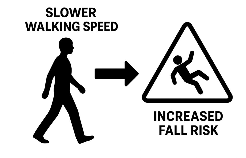 歩行速度と転倒の関係について